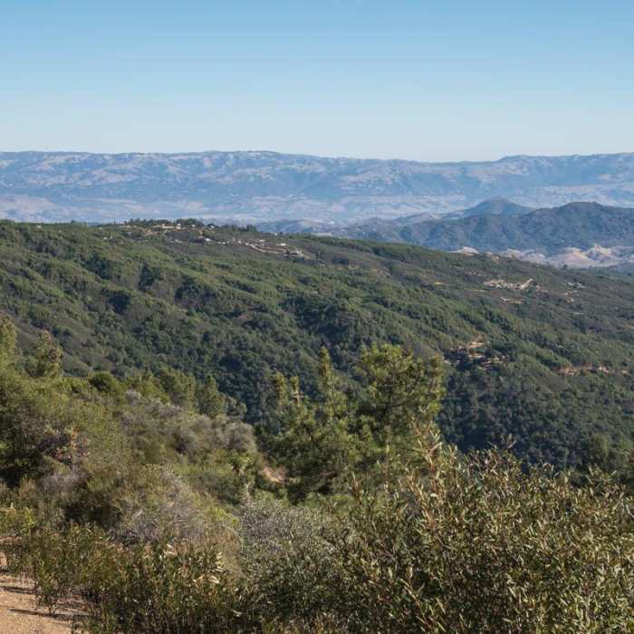 Near Knibbs Knob Near Knibbs Knob
