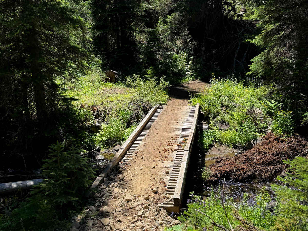 Shoestring Lake - FS 1385 trail photo