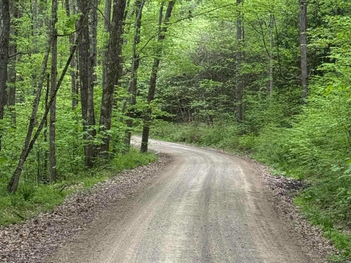 Spring Brook Road photo 3