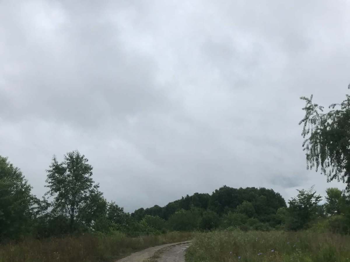 Anderson Meadows  photo 5