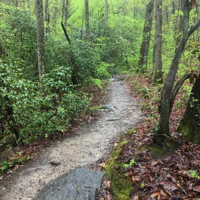 Near Pine Mt. and Cooper's Furnace Tour