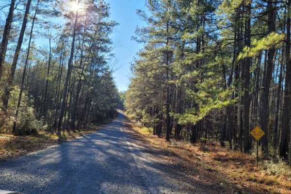 Kisatchie National Forest Camp and Trail