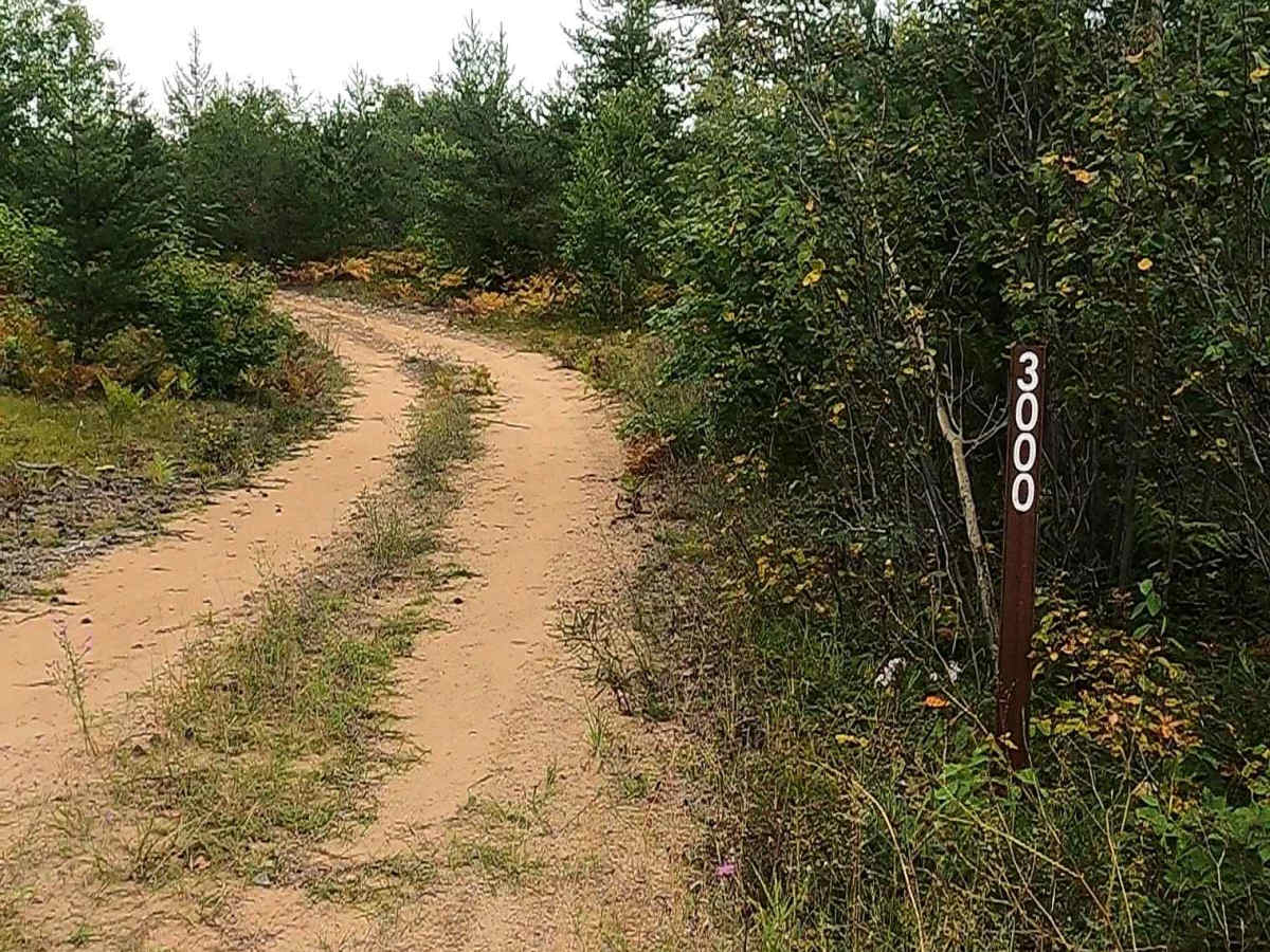 3M - FS 3000 trail photo