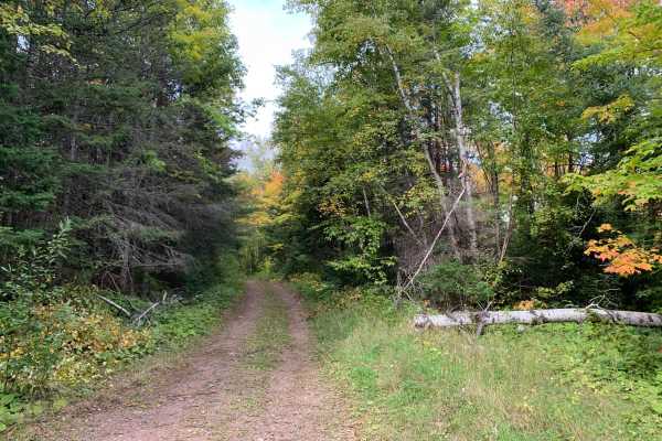 Houghtaling Trail - FS 1855