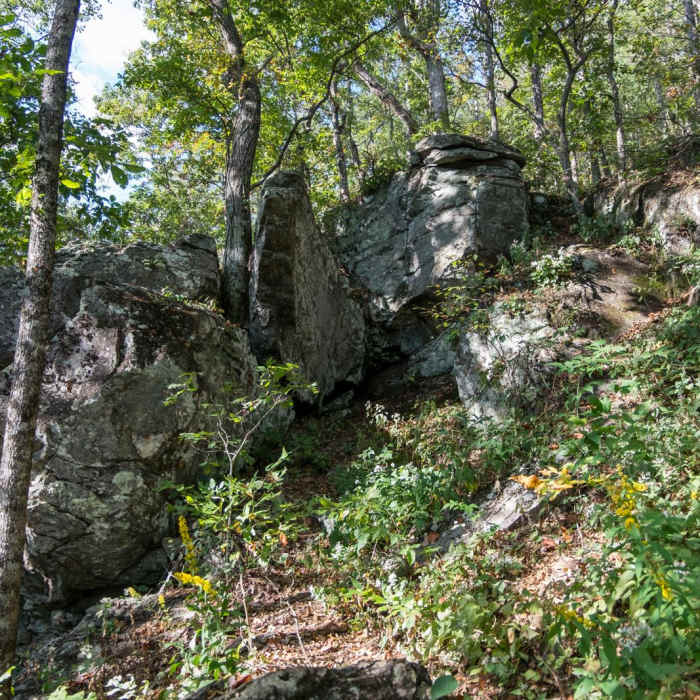 Near The Georgia Loop