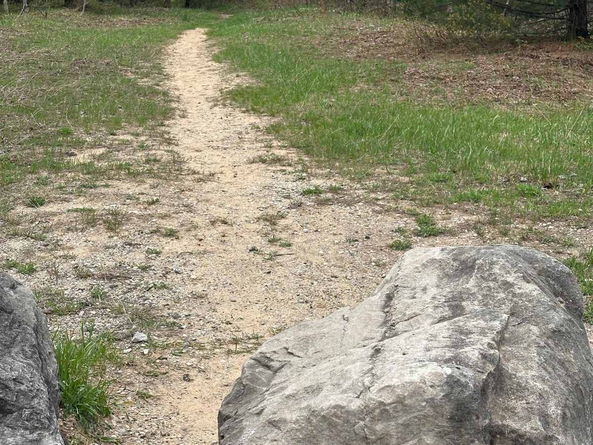 Sand Lake Road  photo 5
