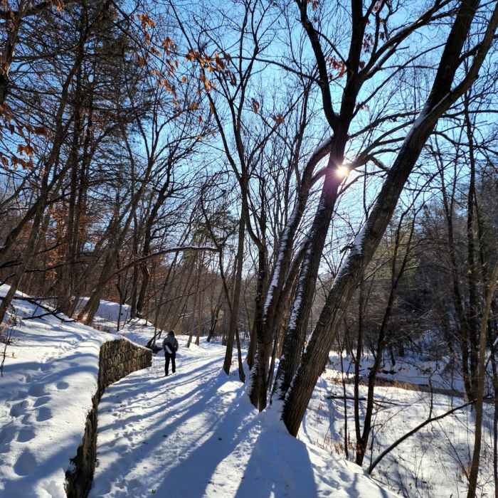 Near Lower Nine Mile Creek Trail