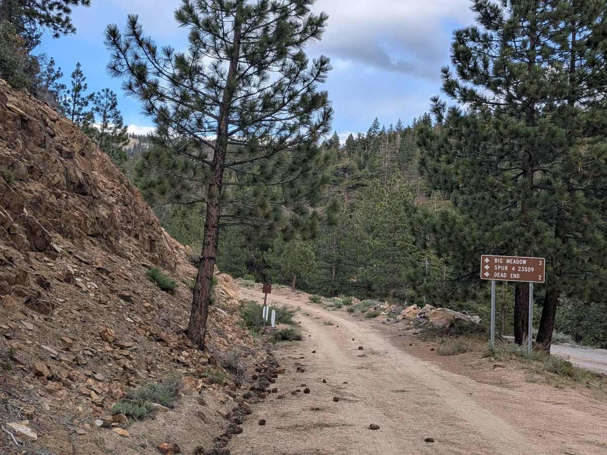Deadwood - FS 23S09 photo 3