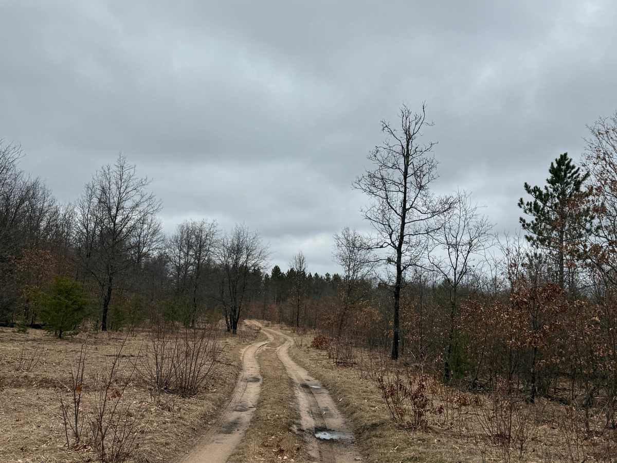 FS 8365 trail photo