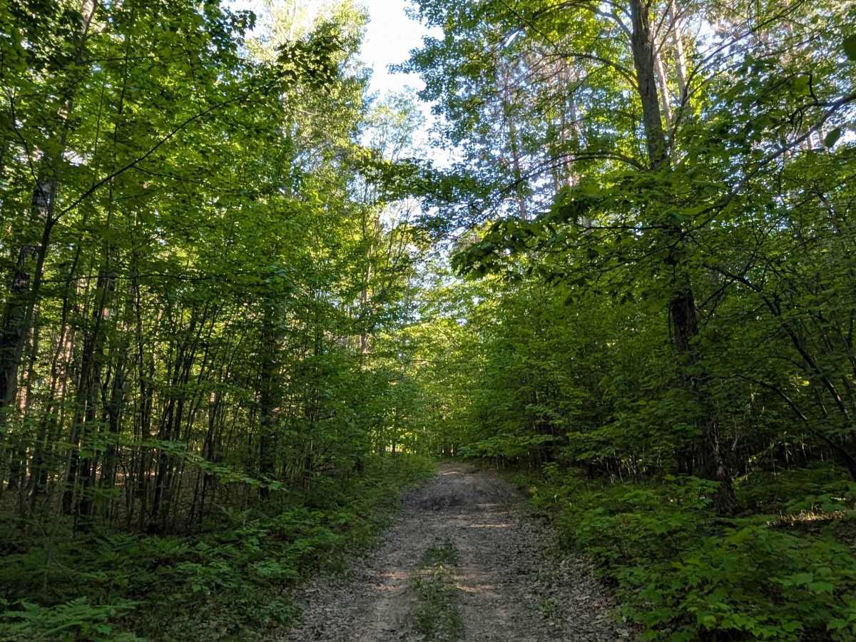 Seven Point Trail photo 5