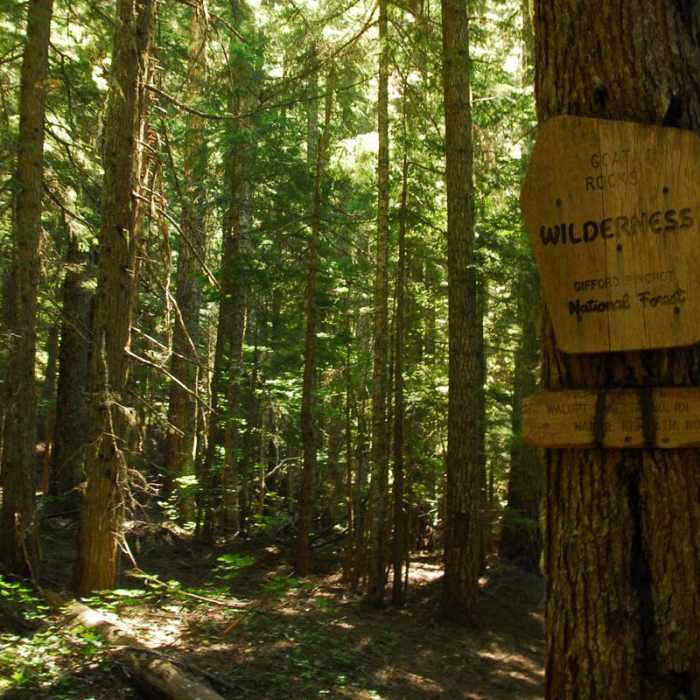 Near Nannie Peak Hike