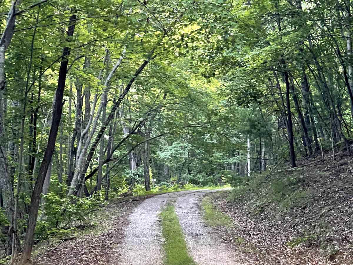 Price Mountain photo 2