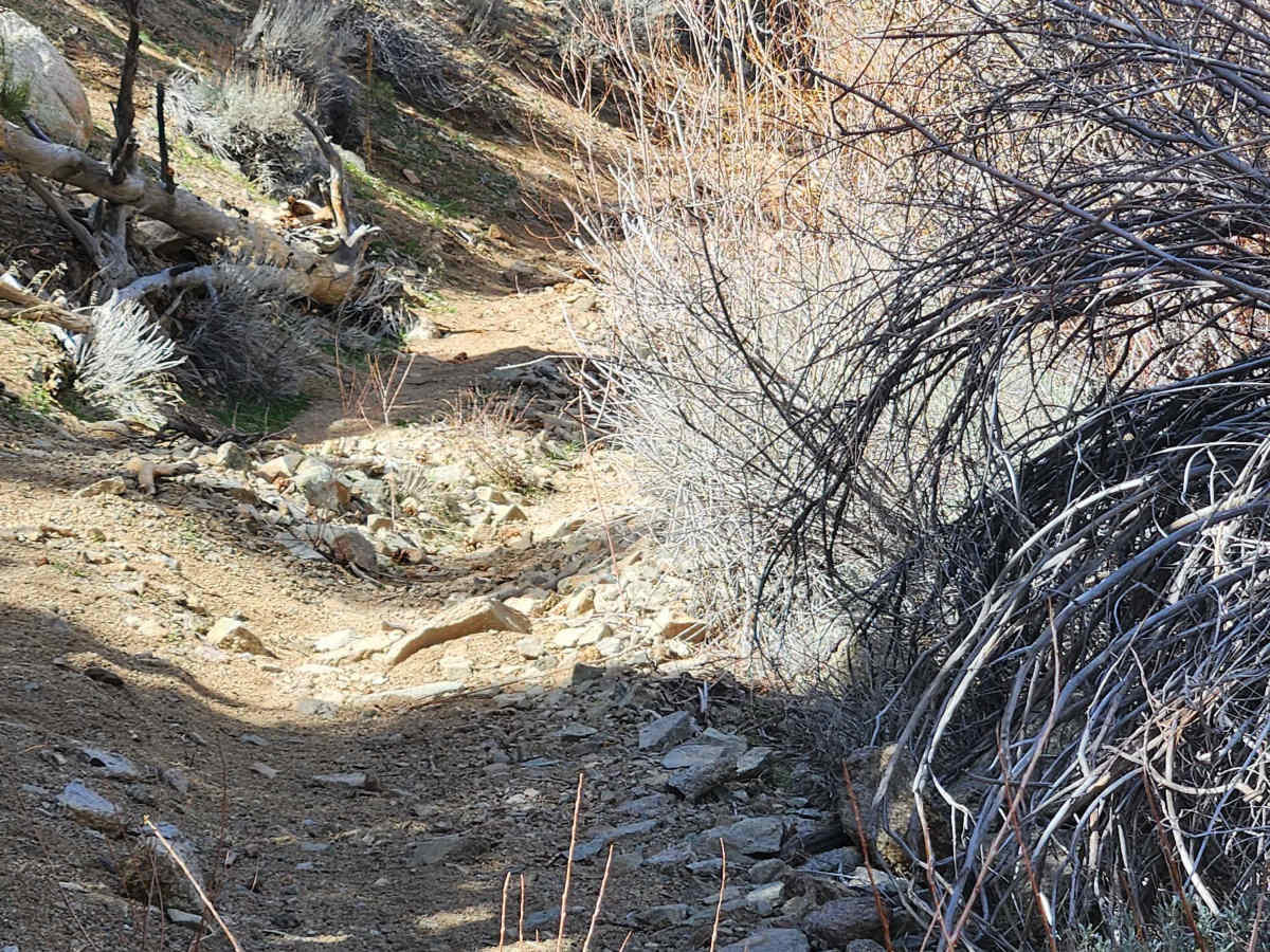 Como Sunrise Crossover Trail photo 5