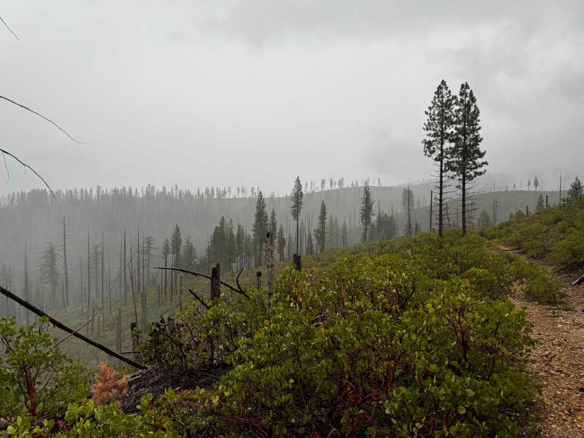 American Hill Trail Spur trail photo