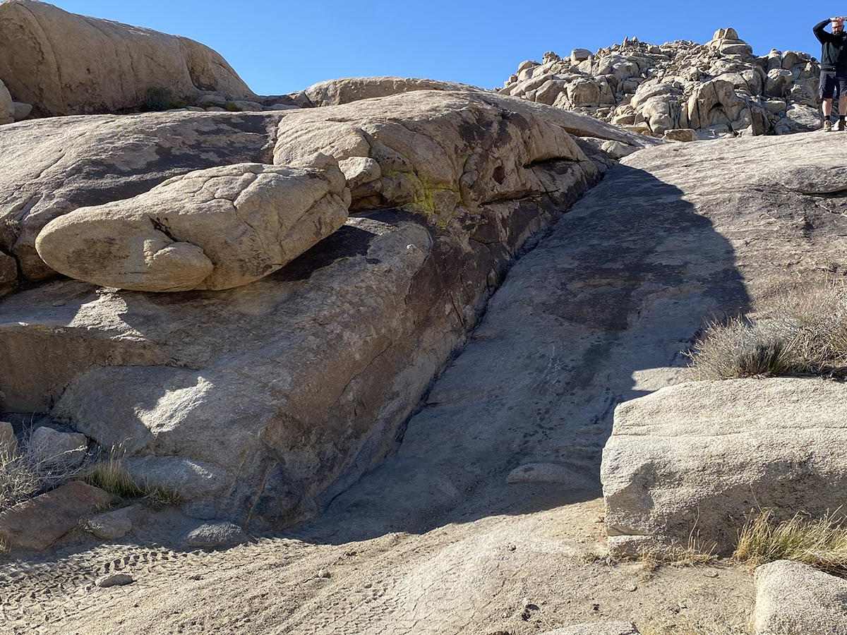 Bull Frog trail photo