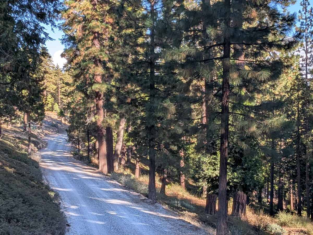 Fraser Flat Road East - FS 4N01 trail photo