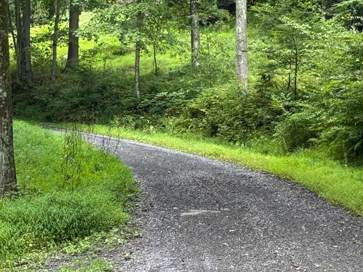Rock Run Road photo 4