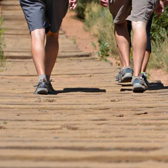 Near The Manitou Springs Incline Near The Manitou Springs Incline