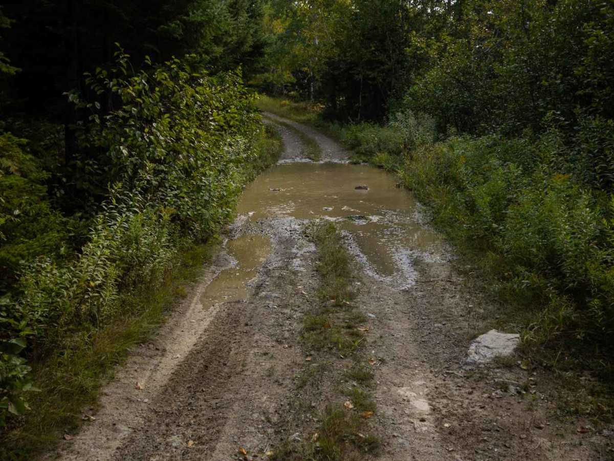 Whitebirch Road A - Trail 22 photo 6