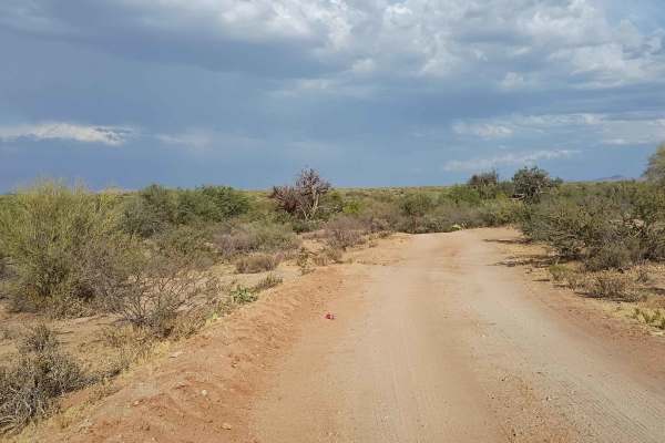 Crisis Trail