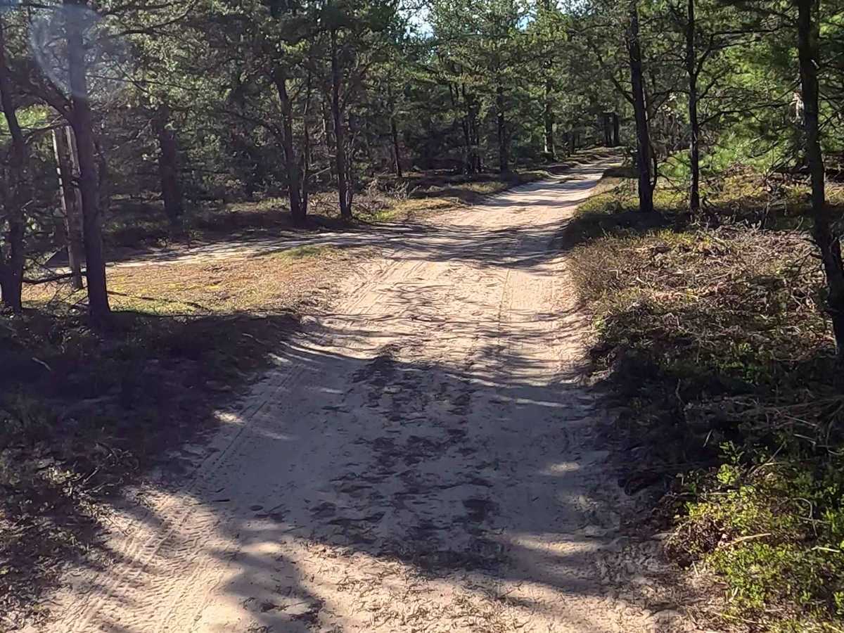CCL Trail photo 5