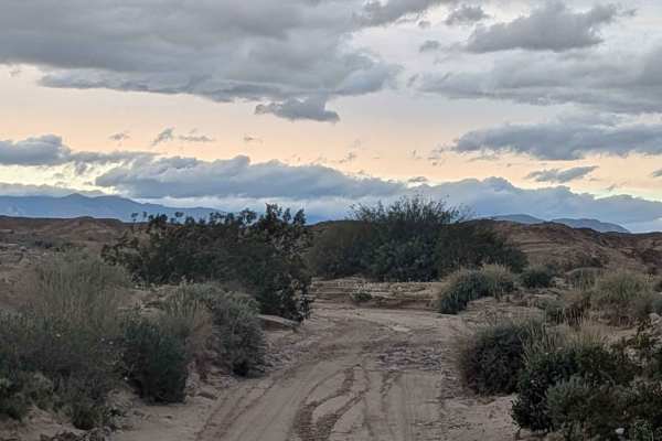 Veteran's Pass