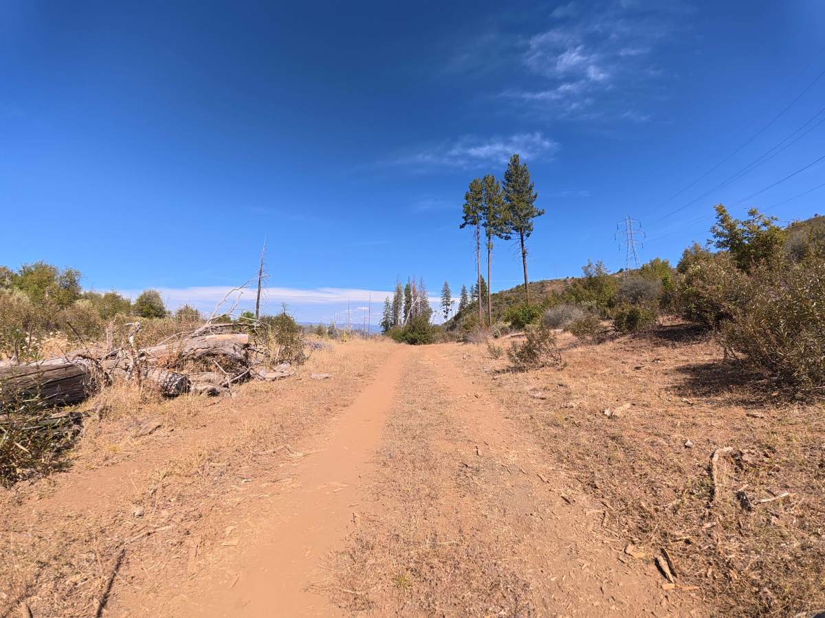 FS 1S08Y photo 5