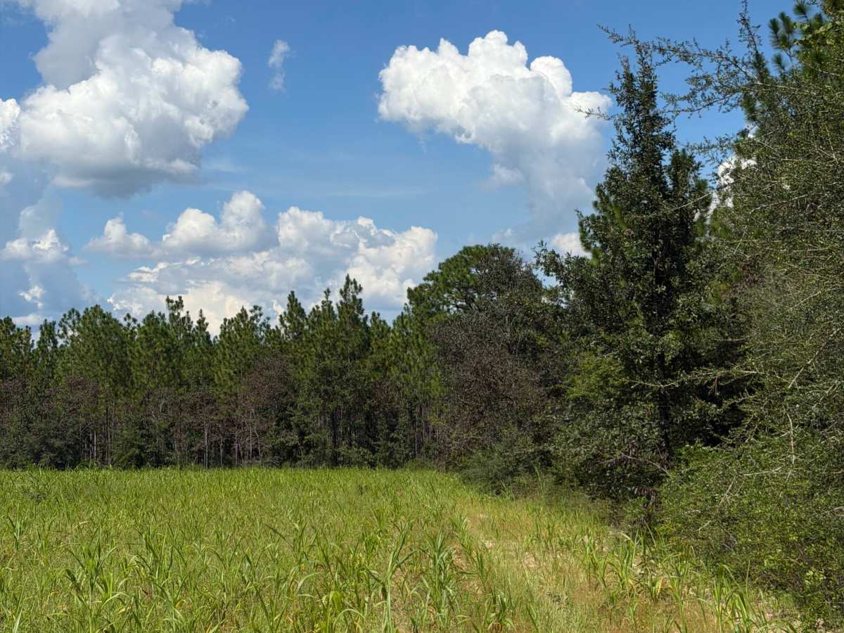 Blackwater River R68 photo 3