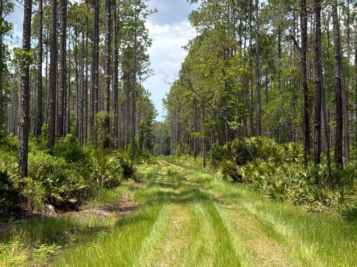 Big Pond Road photo 5