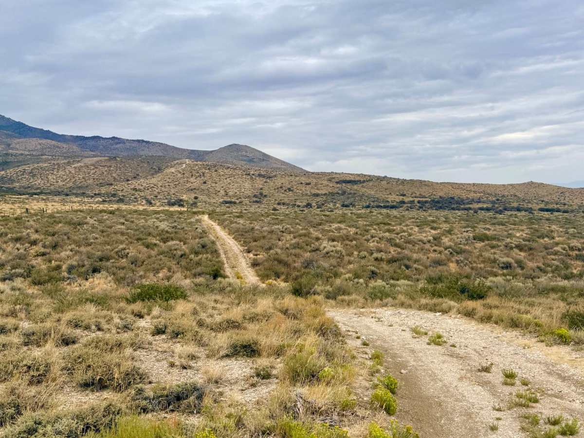 Agee Spring Spur B - FS 17889B trail photo