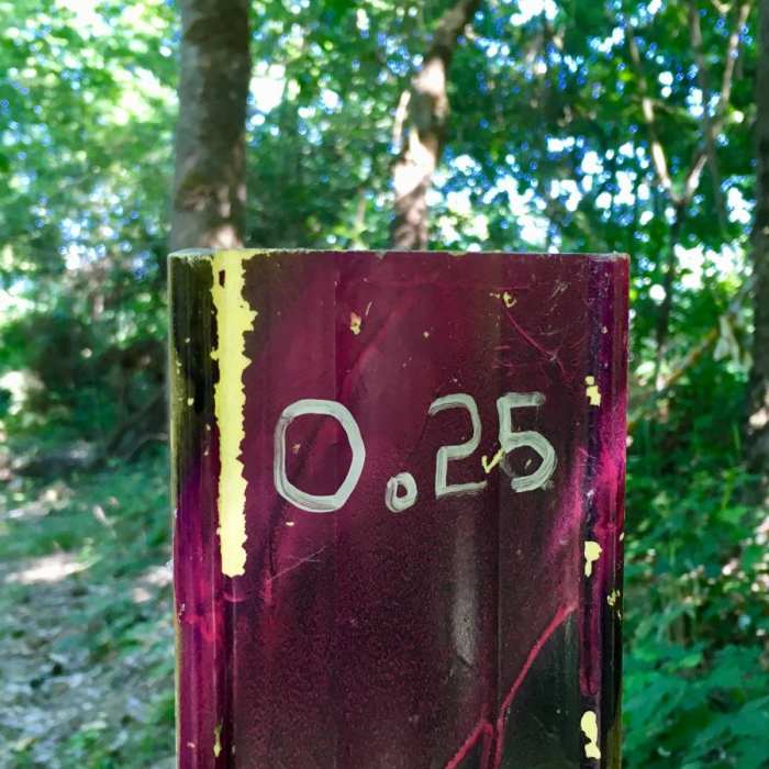 Near Takena Landing Trail (Eagle Trail)