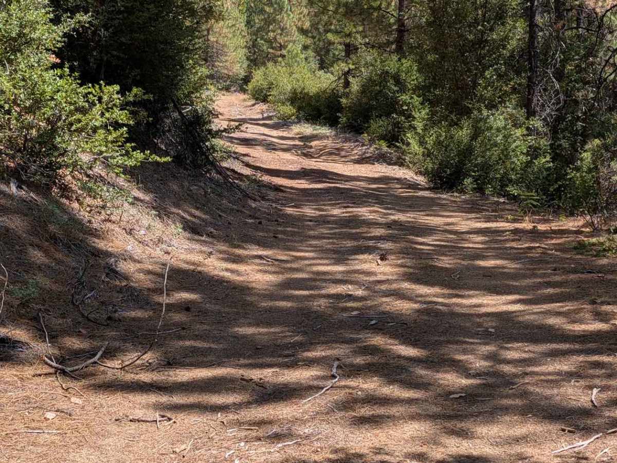 Camp Carter Road - FS 2N22 photo 6
