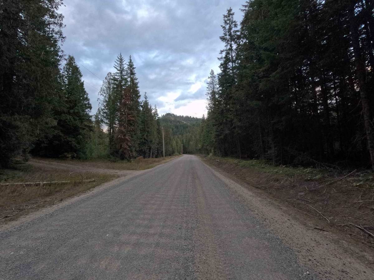 Kings Lake Road - FS 50 photo 2