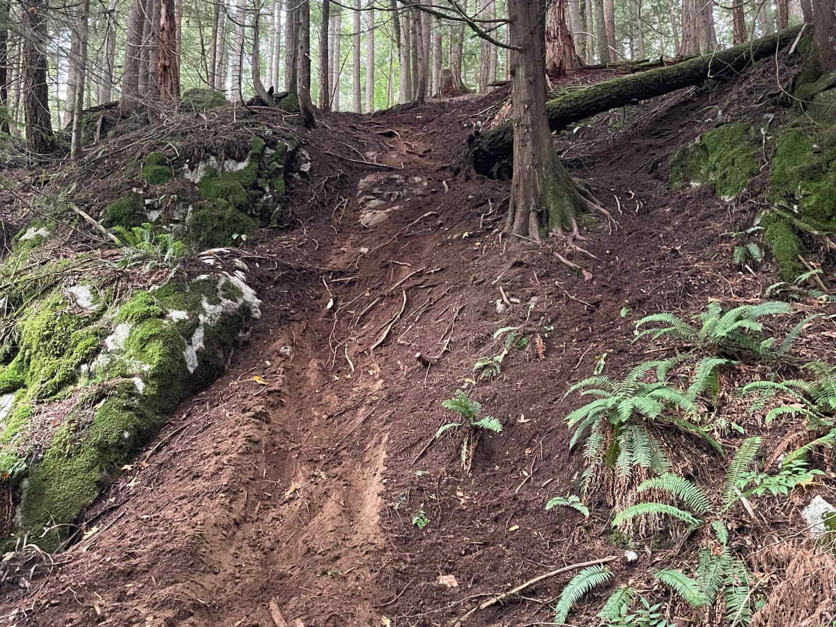 Finger 2 photo 6
