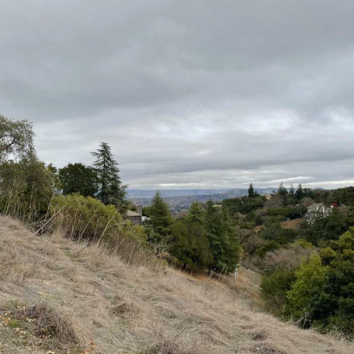 Near Fire Road