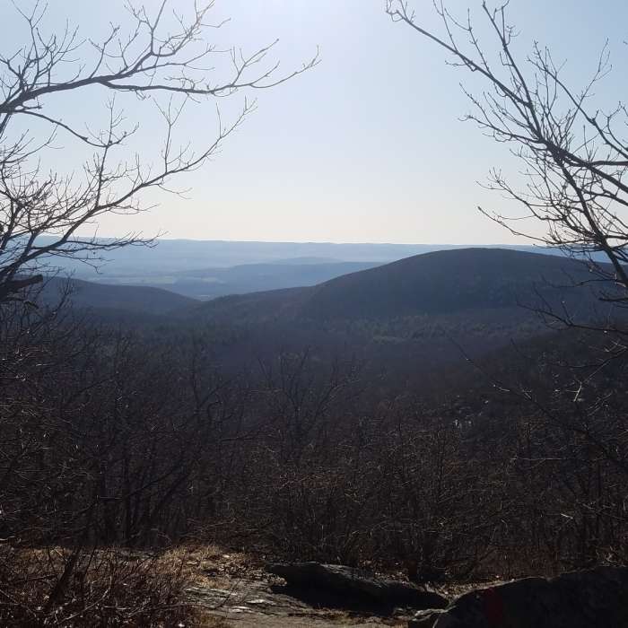 Looking east at the top of the eastern approach to Mount Frissell Near CT State Highpoint/Tri-point Out and Back