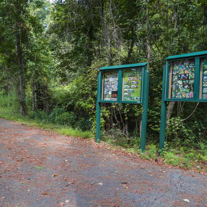 Near Green Creek Trail Near Green Creek Trail