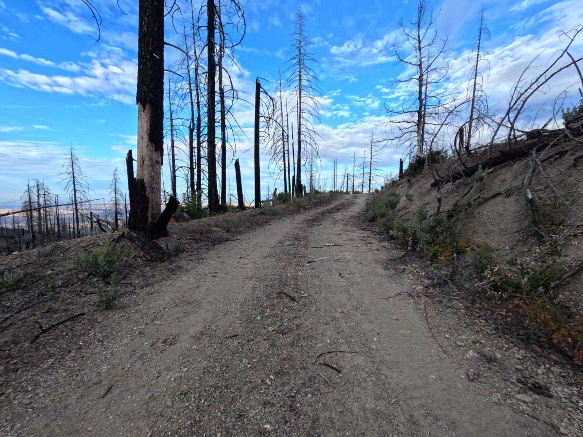 Rain Gauge - FS 19N71 trail photo