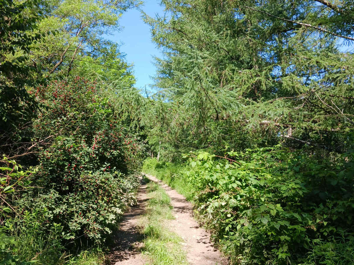 Trail 13D - Rock Run Recreation Area photo 6