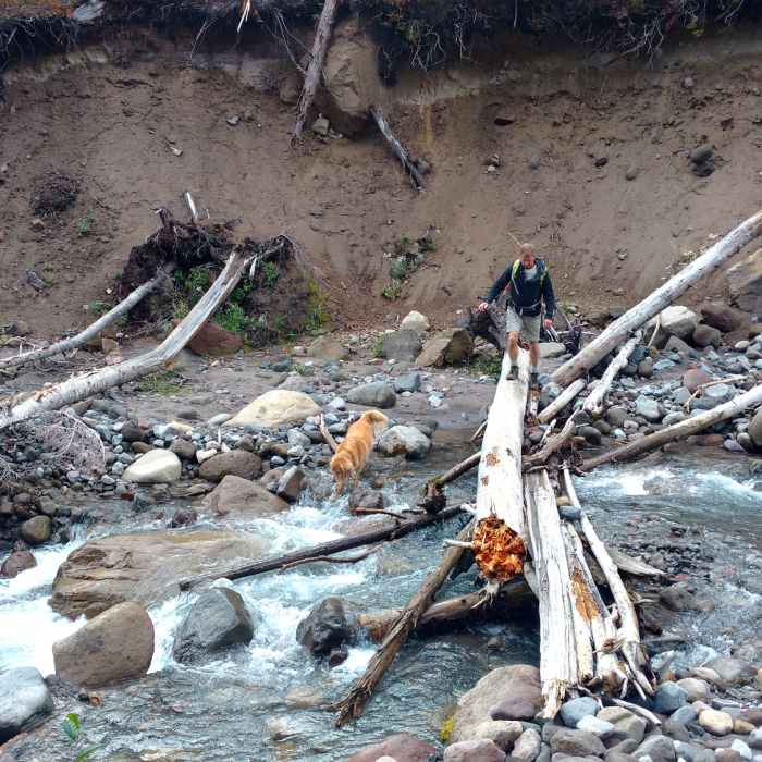 Near Umbrella Falls #667