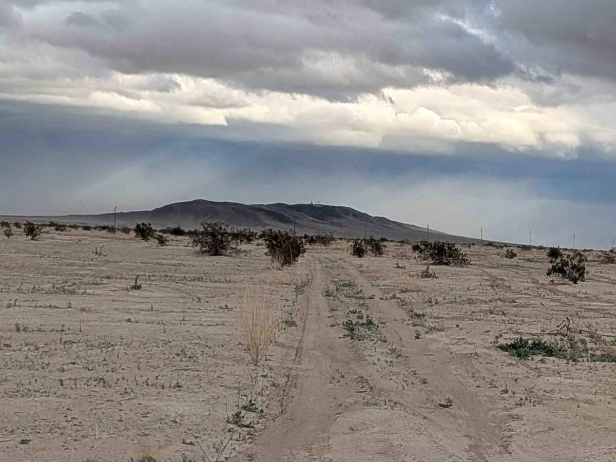 BLM 198 photo 2