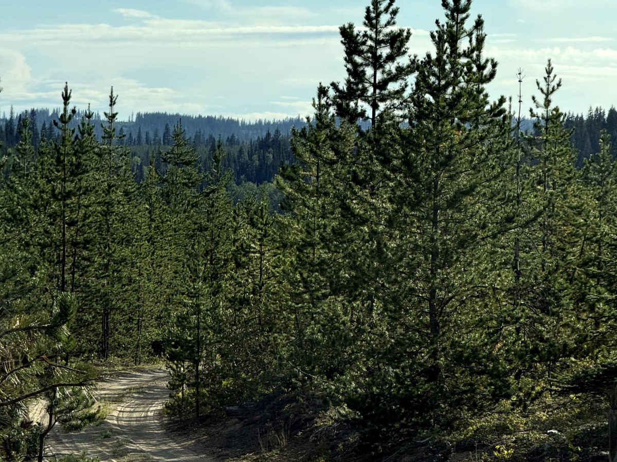 Crystal Lake photo 5