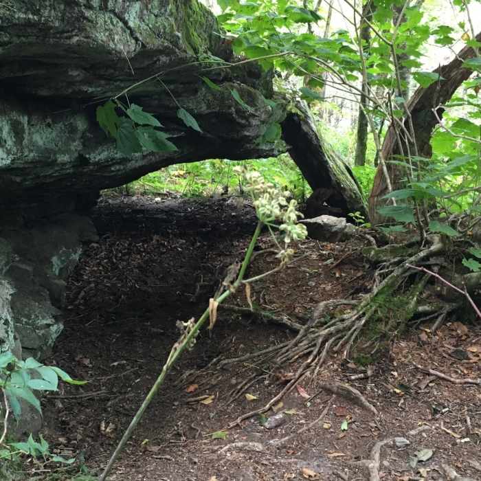 Cozy camping. Near Craggy Gardens Trail