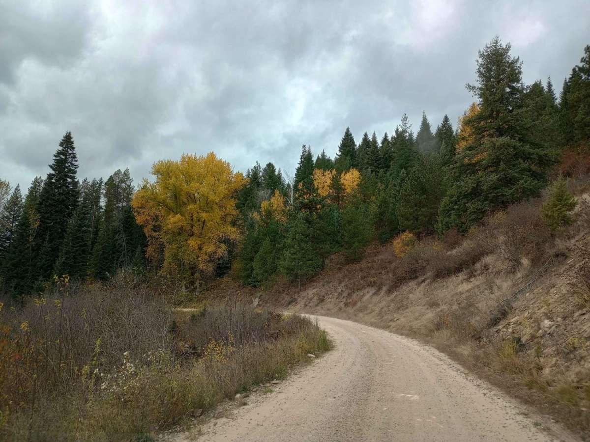 Mt Spokane via IEP Backroads photo 3
