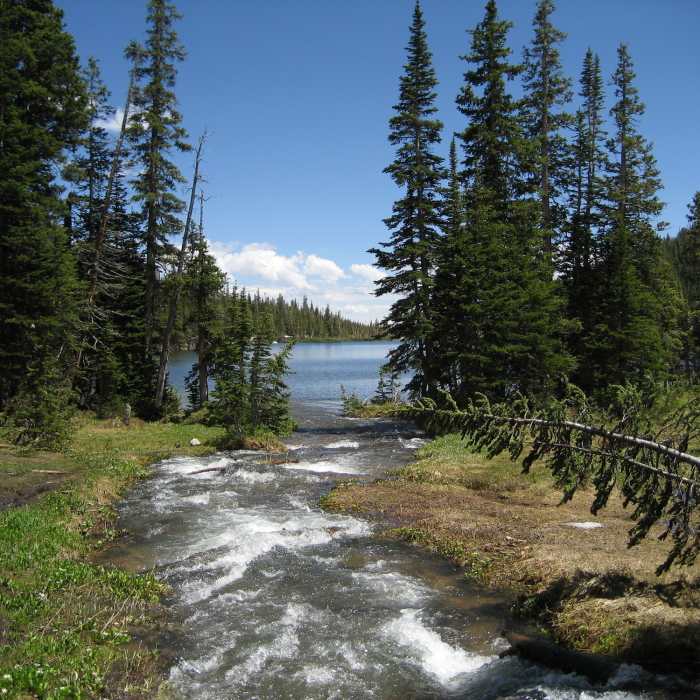 Near Mt. Alice via Hourglass Ridge