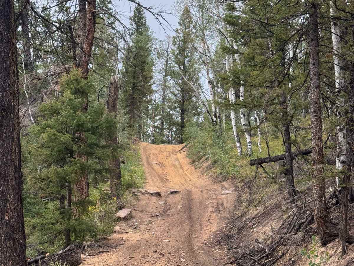 Roaring Judy Road photo 5