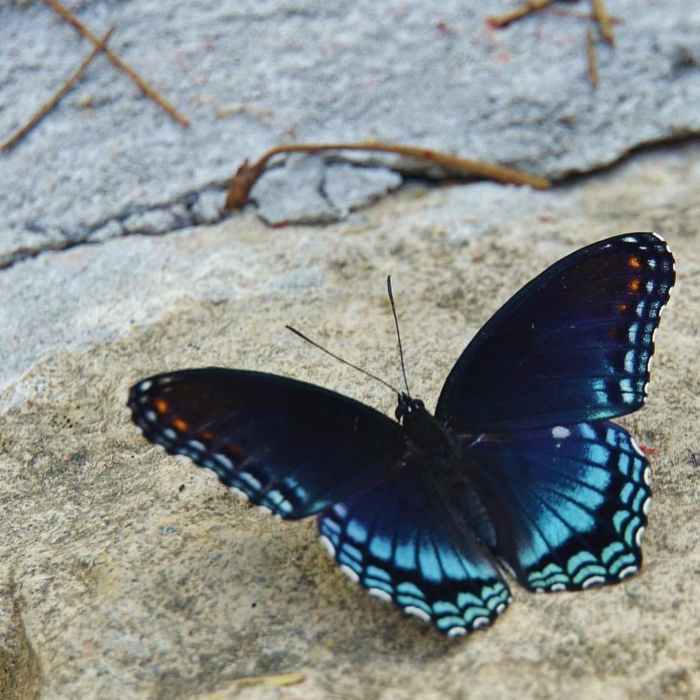 Near Suwanee Creek Greenway