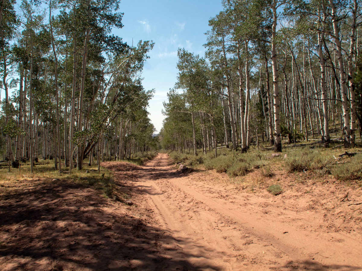 Limekiln - FS 10123 photo 2