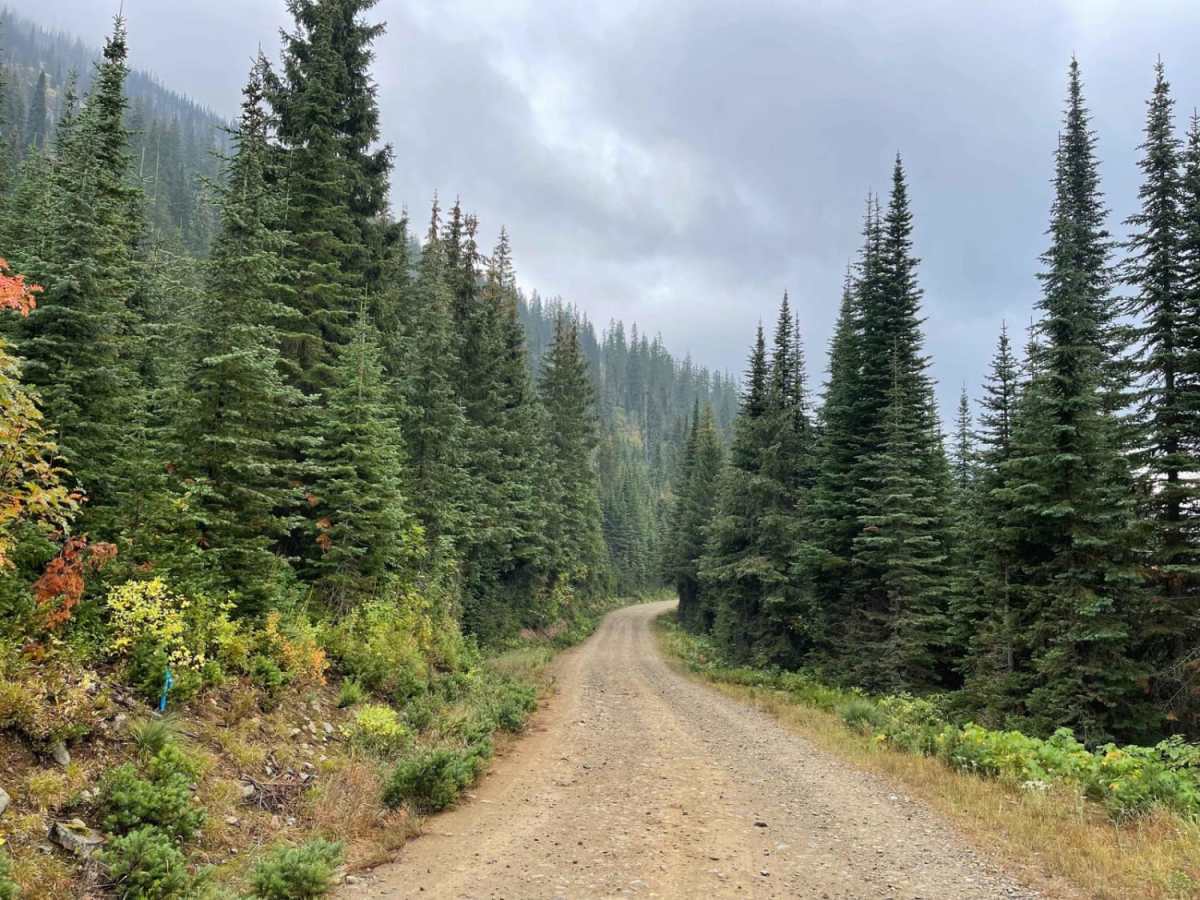 Moose Creek Trailhead photo 5