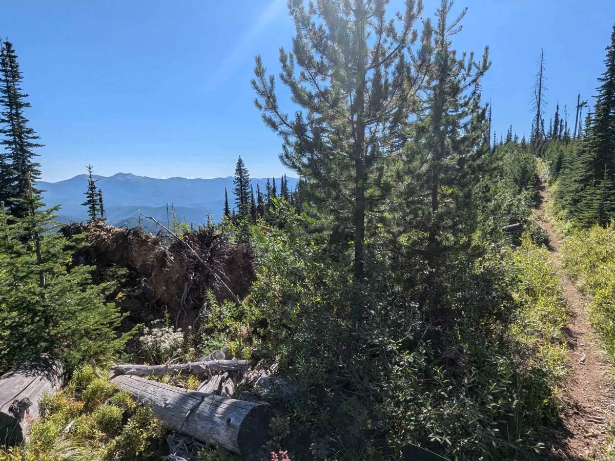 Ninemile Divide Trail photo 5